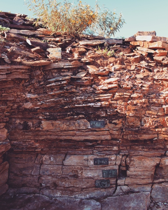 Fossil record, Nilpena Station, South Australia